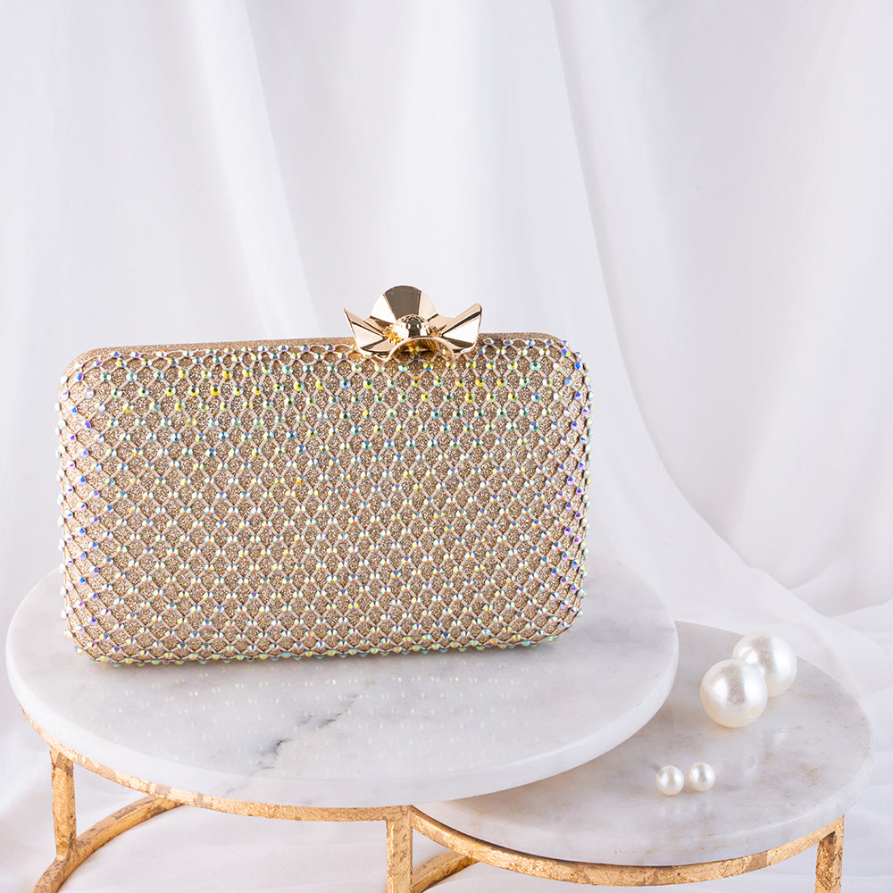 Fancy Clutch