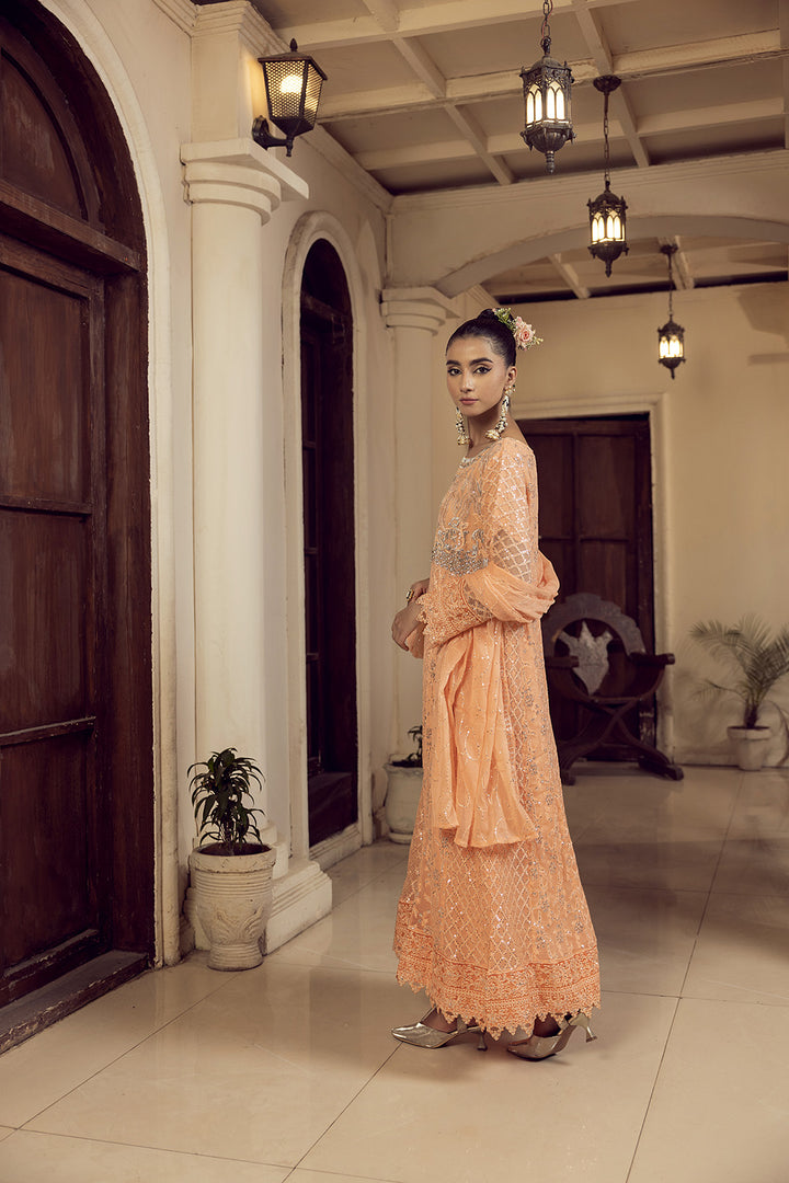 4-PC Embroided Chiffon