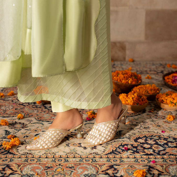 Fancy Court Shoes
