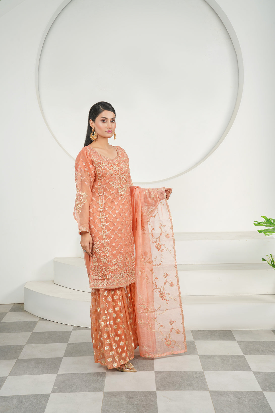 3-PC Fancy Embroidered Organza
