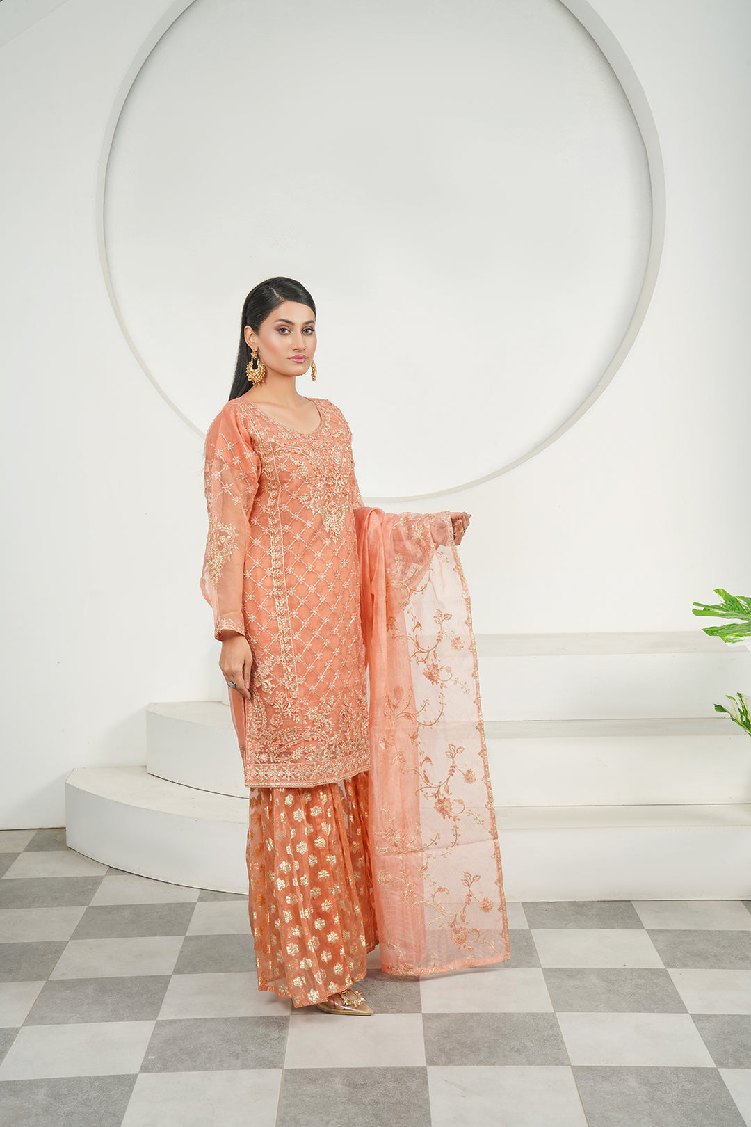 3-PC Fancy Embroidered Organza