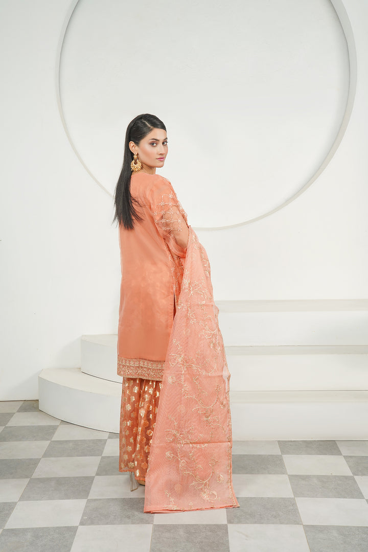 3-PC Fancy Embroidered Organza