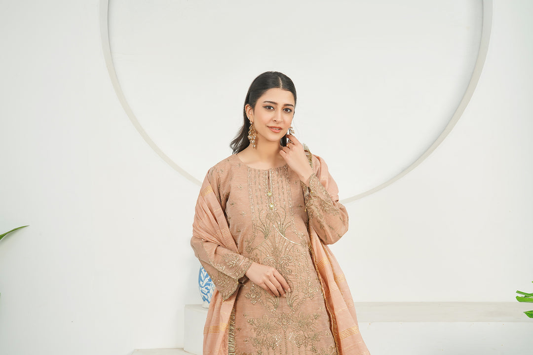 3-PC Fancy Embroidered Poly Slub