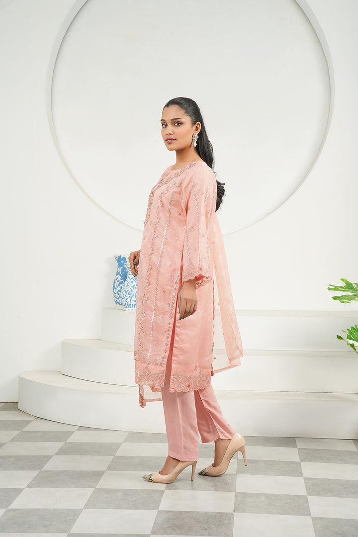 3-PC Fancy Embroidered Organza