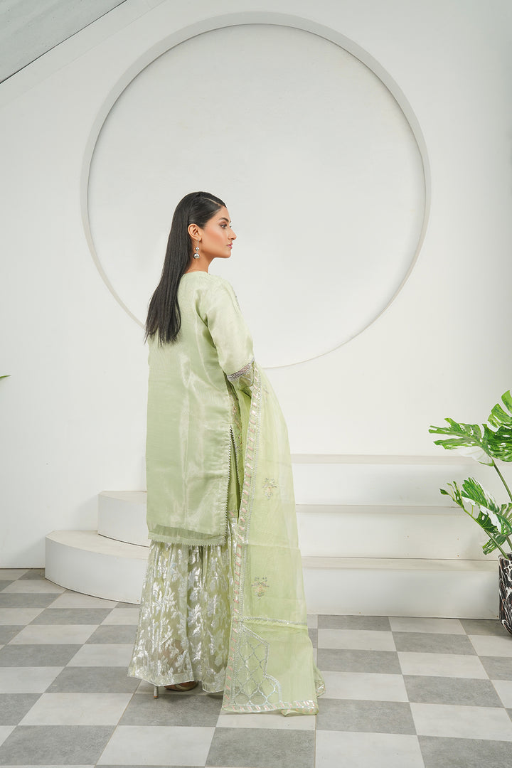 3-PC Fancy Embroidered Organza