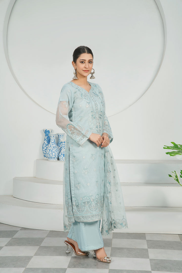 3-PC Fancy Embroidered Karandi Net
