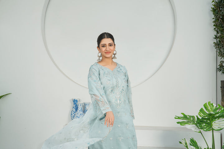 3-PC Fancy Embroidered Karandi Net
