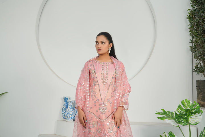 3-PC Fancy Embroidered Organza