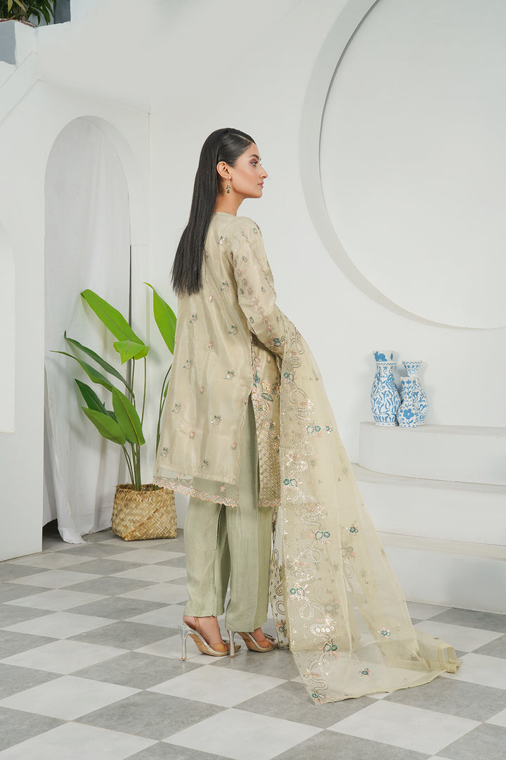 3-PC Fancy Embroidered Organza