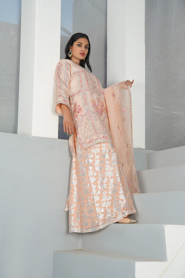 3-PC Fancy Embroidered Organza