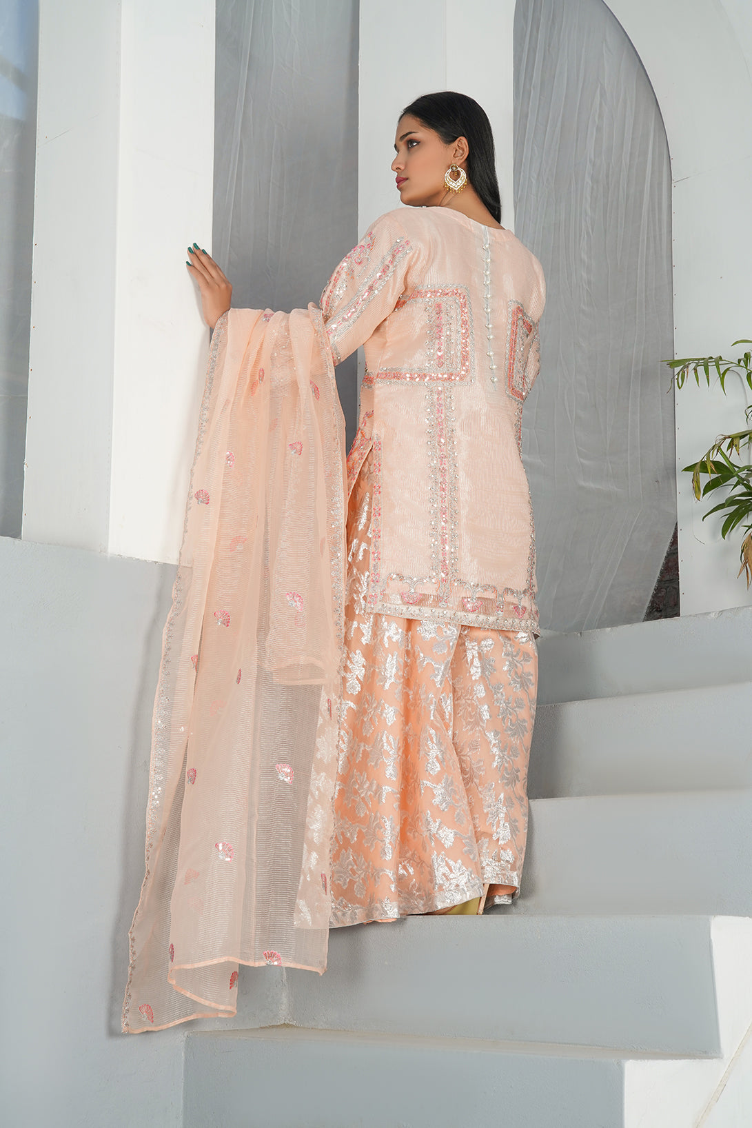 3-PC Fancy Embroidered Organza