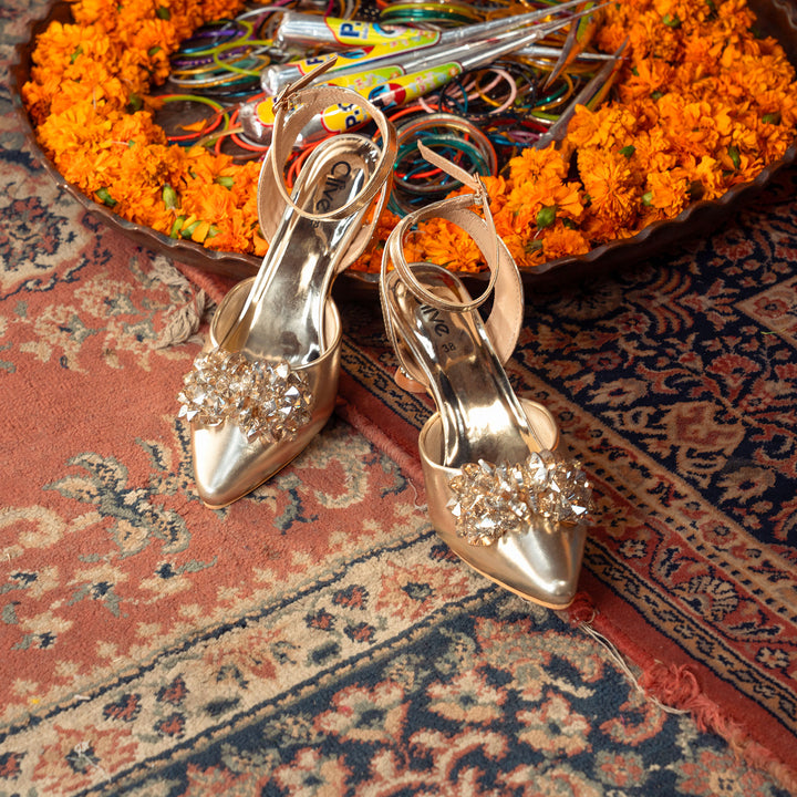 Fancy Court Shoes