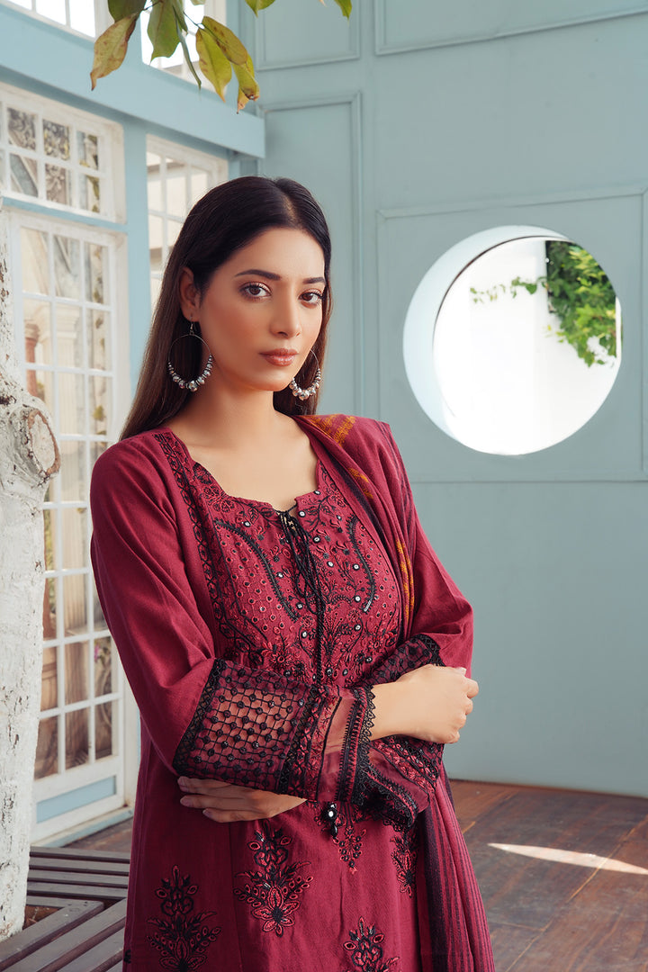 3-PC Embroided Khaddar