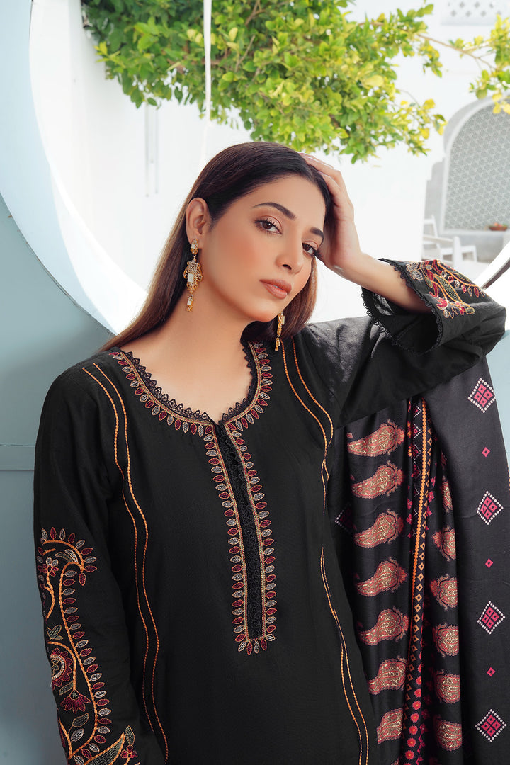 3-PC Casual Embroidered Khaddar