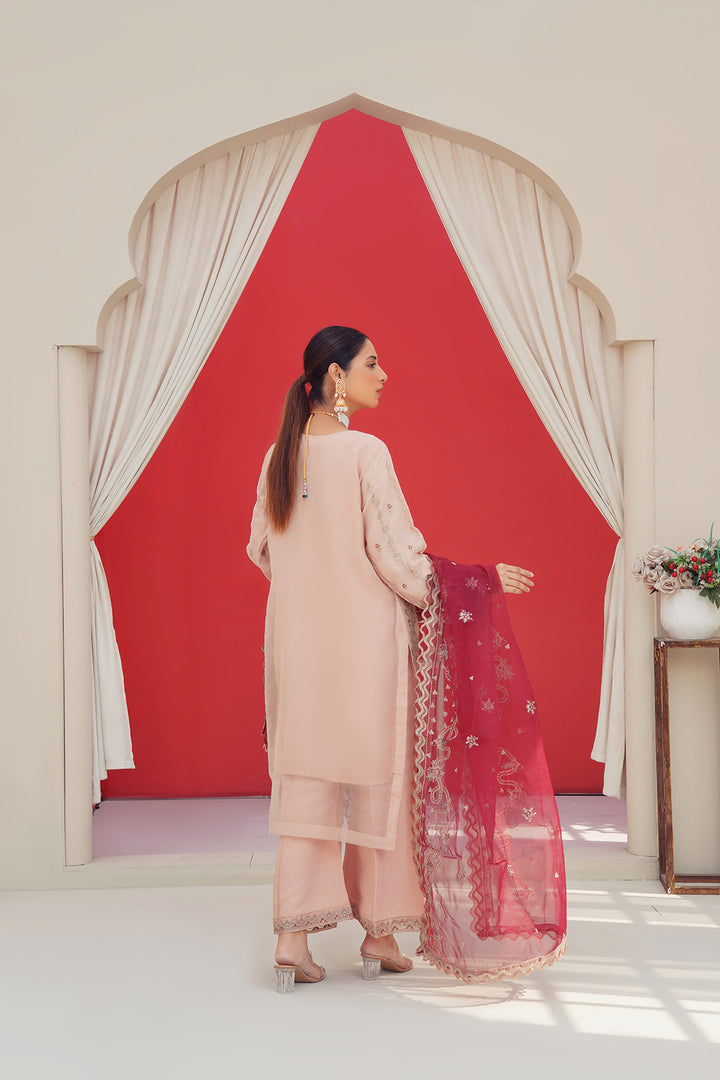 3-PC Fancy Embroidered Organza & Raw Silk