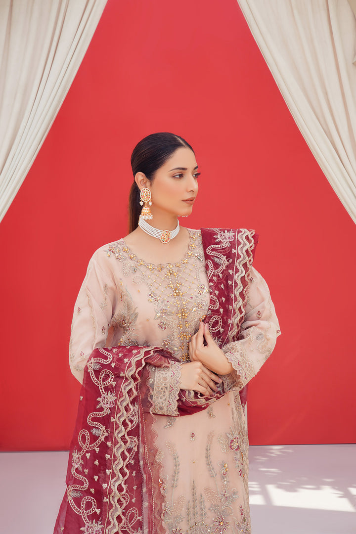 3-PC Fancy Embroidered Organza & Raw Silk