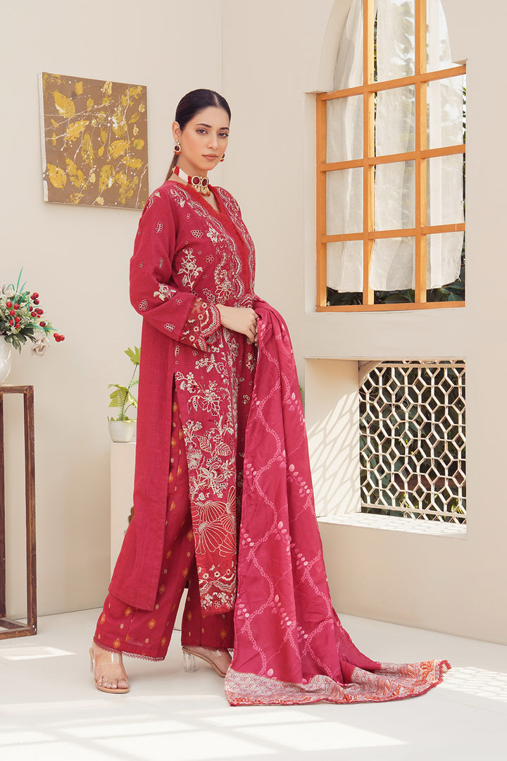 3-PC Casual Embroidered Khaddar