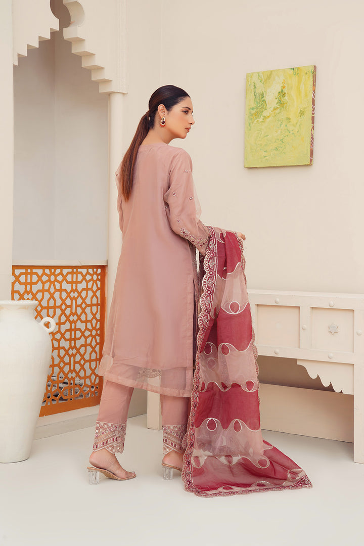 3-PC Fancy Embroidered Organza & Raw Silk