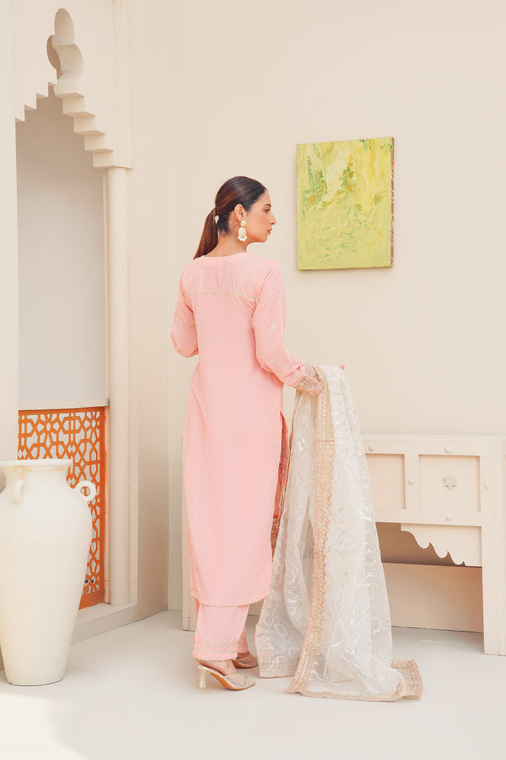 3-PC Fancy Embroided Velvet