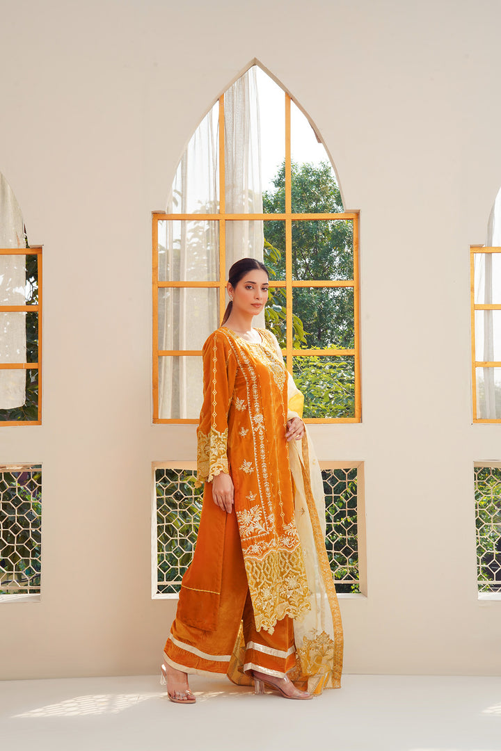 3-PC Fancy Embroided Velvet