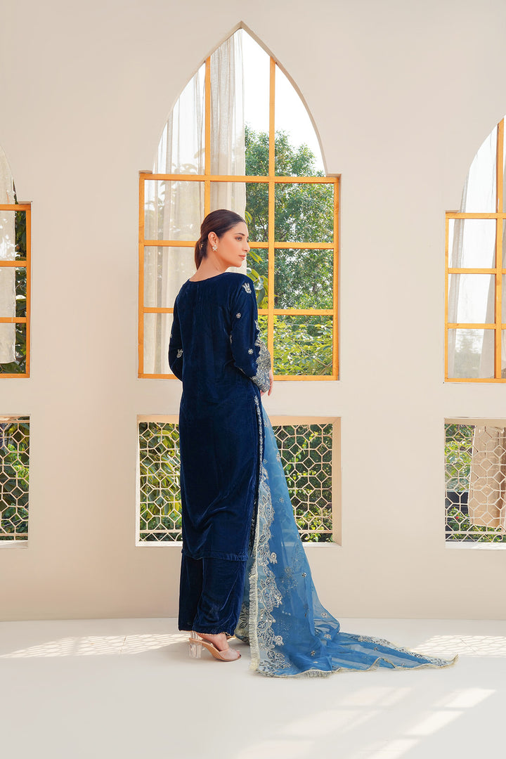 3-PC Fancy Embroided Velvot