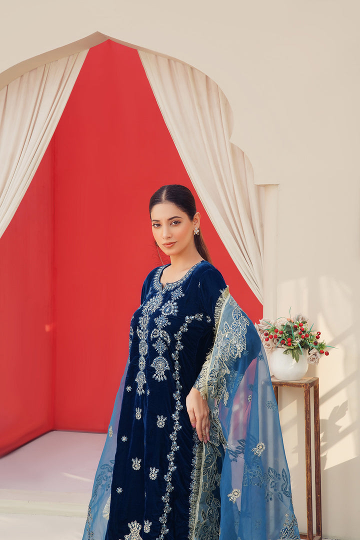 3-PC Fancy Embroided Velvot