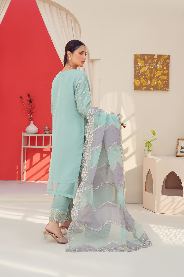 3-PC Fancy Embroidered Organza & Raw Silk