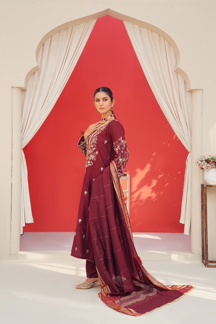 3-PC Fancy Embroided Cotton Silk