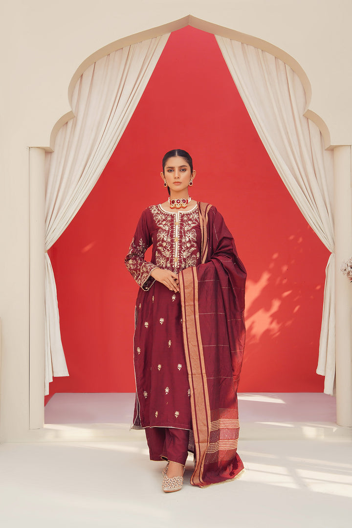 3-PC Fancy Embroided Cotton Silk