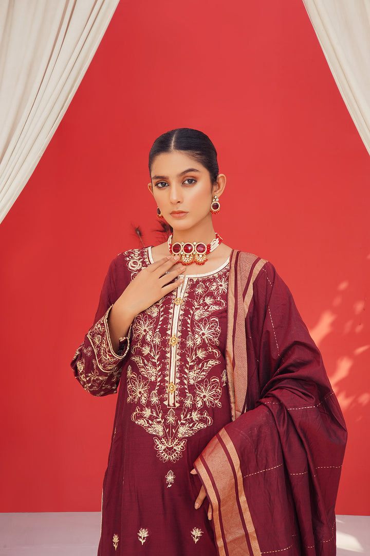 3-PC Fancy Embroided Cotton Silk