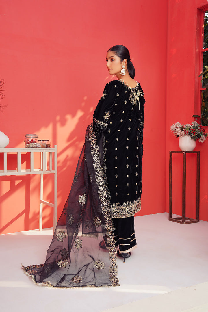 3-PC Fancy Embroided Velvot