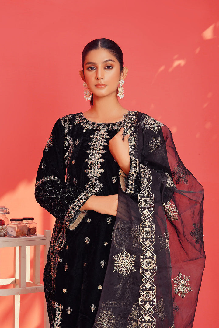 3-PC Fancy Embroided Velvot (Copy)
