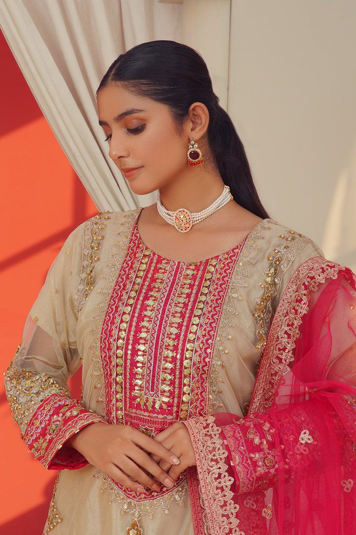3-PC Fancy Embroided Organza & Jacquard