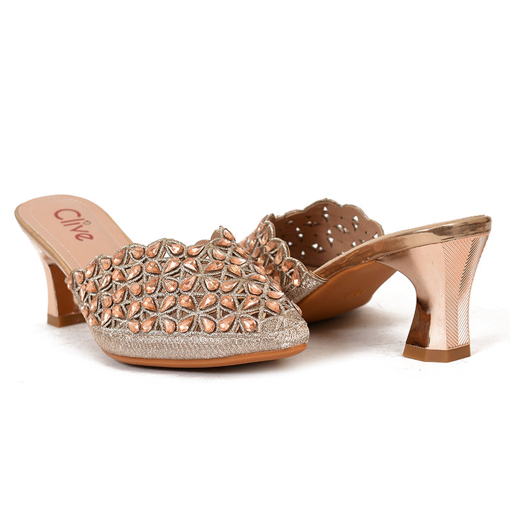Fancy Court Shoes